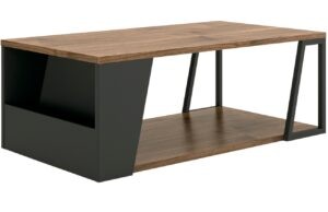 Černý ořechový konferenční stolek TEMAHOME Albi 100 x 55 cm